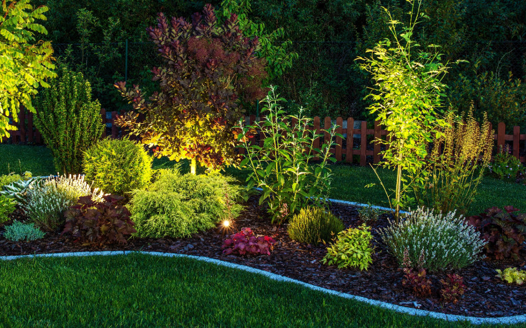 Garden Lighting