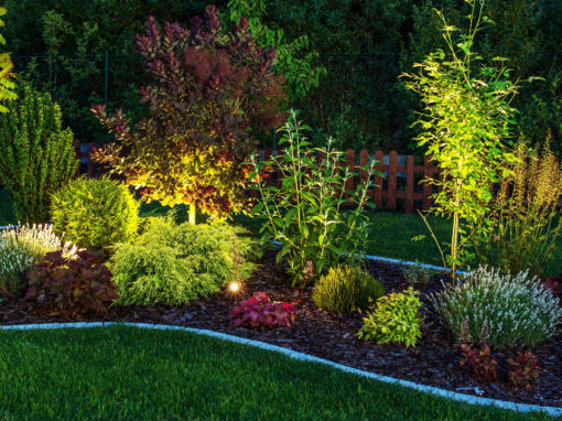 Garden Lighting